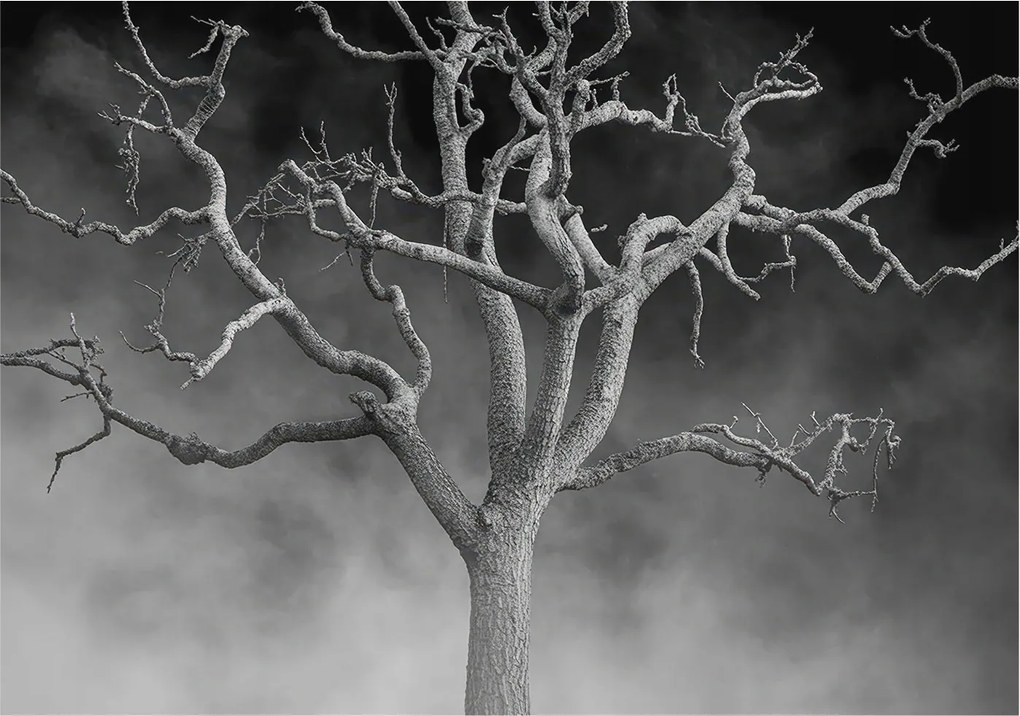 Flizelin tapéta falra Prémium ködös fa 208x146