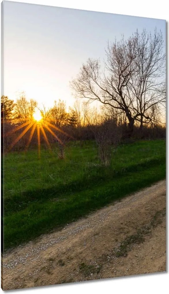 Vászonkép 80x120 Mező út Fák Mezők