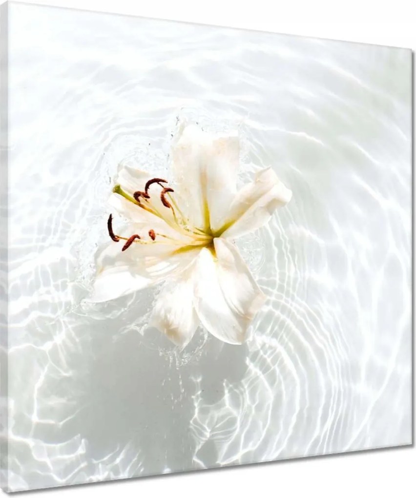 Vászonkép 50x50 Virág a vízen Név