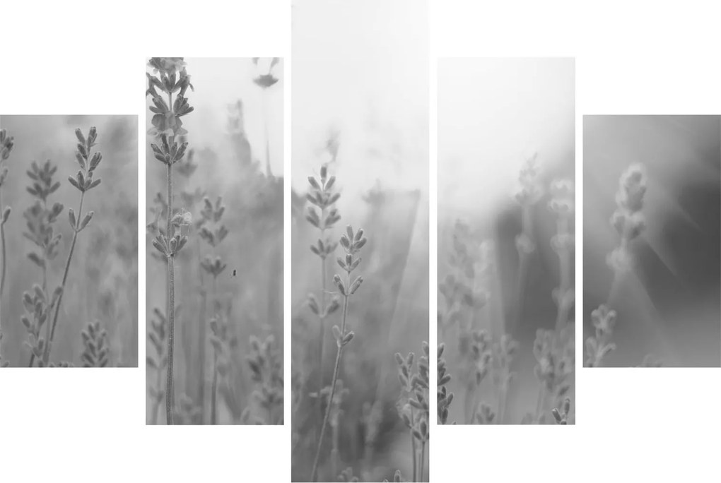 Kép - Levendula (150x105 cm)