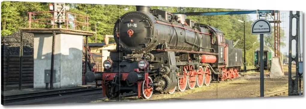 Vászonkép 90x30 Gőzmozdony Ty1-76