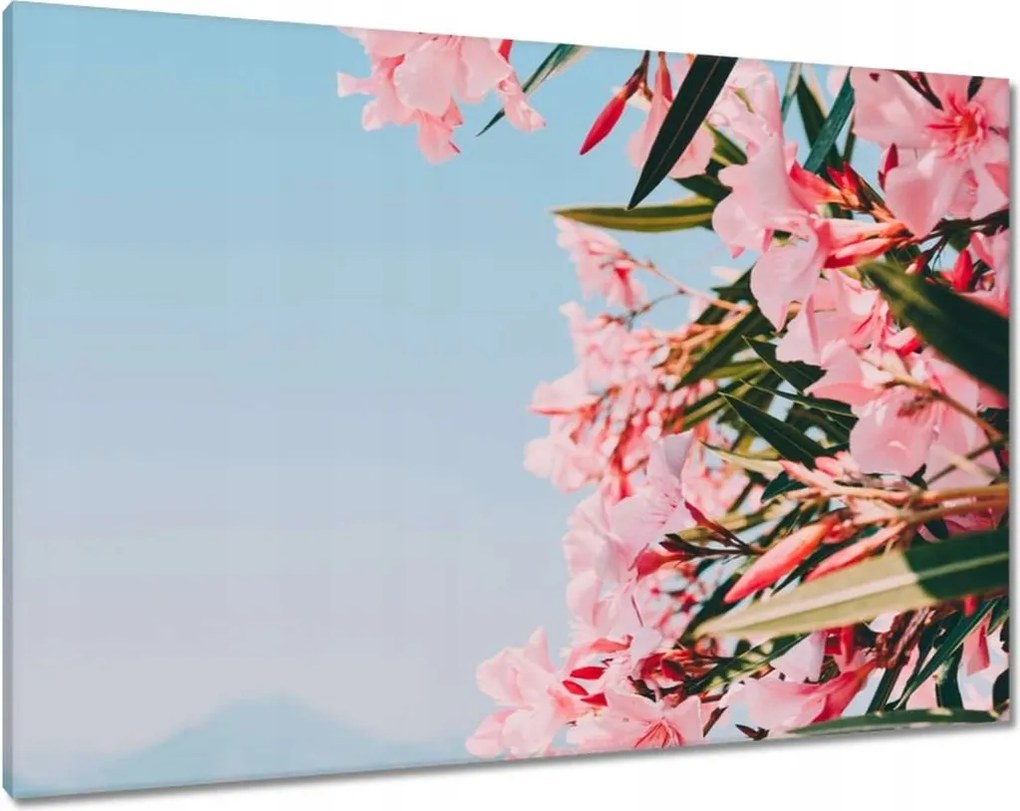 Vászonkép 100x70 Virágok