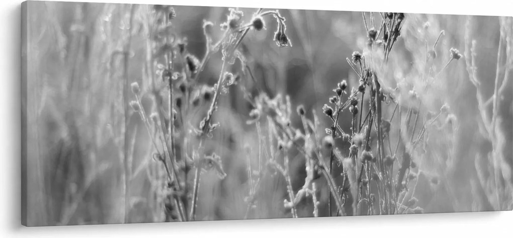 Kép - Wild Meadow (120x50 cm)