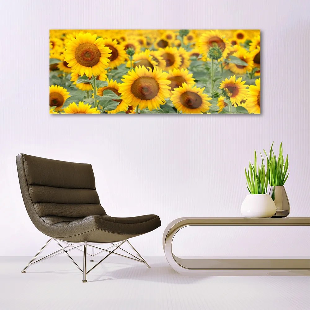 Fali üvegkép Plant napraforgó Természet 120x60cm