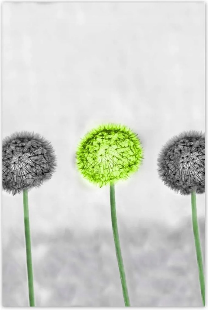 Poszterek 80x120 Lime közép