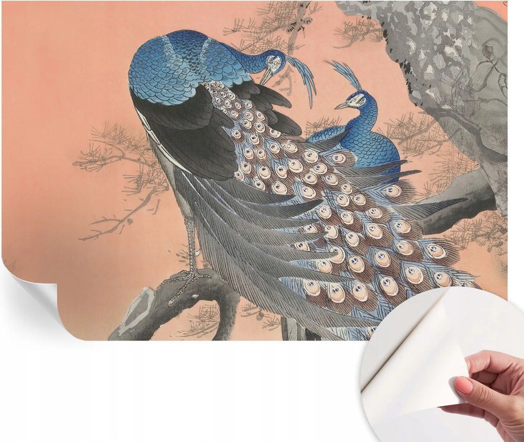 Dekoratív öntapadós fotótapéta páva elegancia 104x70 cm