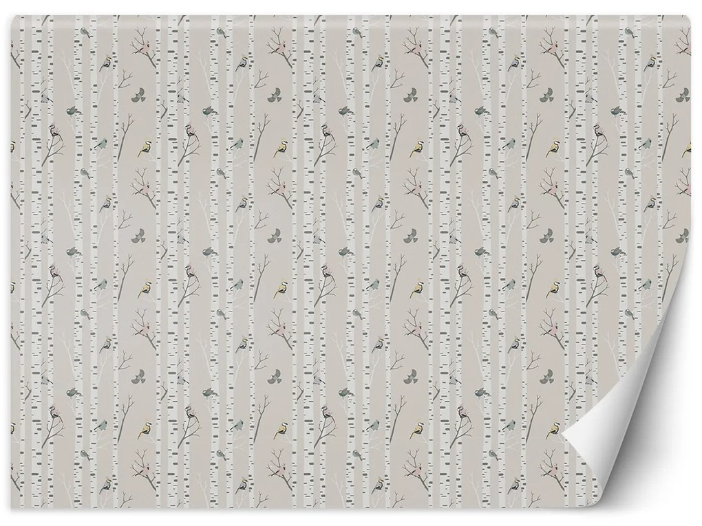 Gario Fotótapéta Scandi nyírfa Anyag: Vlies, Méret: 400 x 280 cm