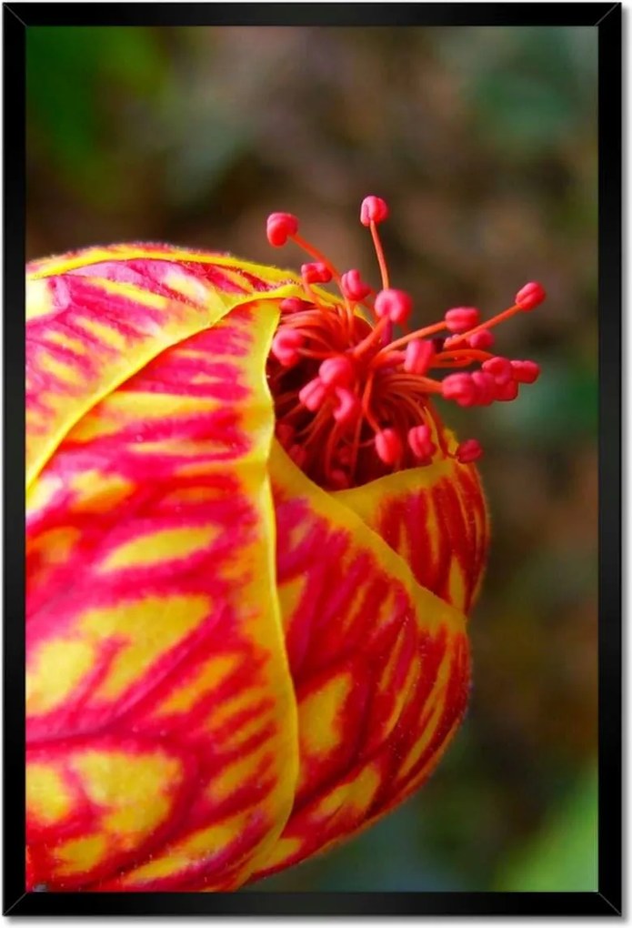 Poszterek keretben 40x60 Nőnap Ajándék Love