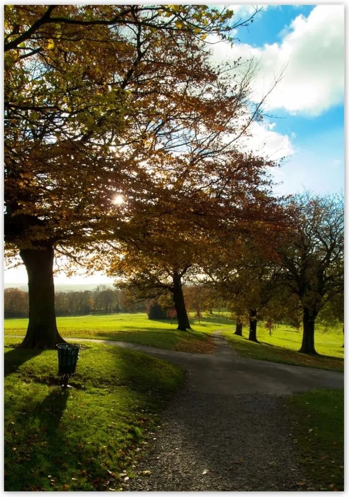 Poszterek 70x100 Őszi tájkép