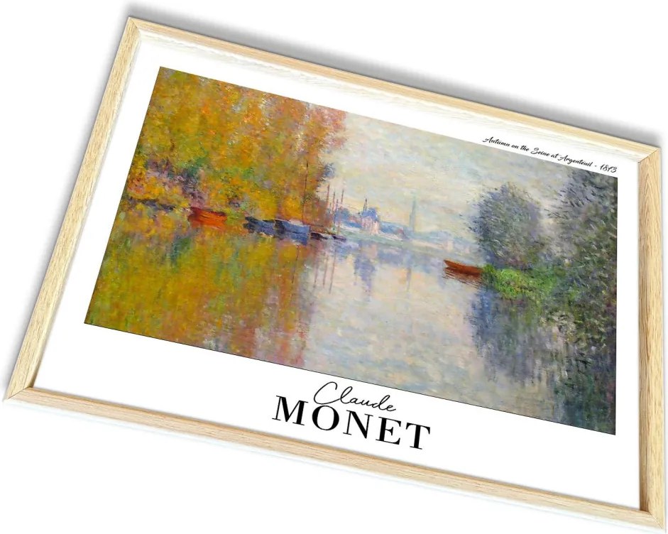 4262AHSMONET-002