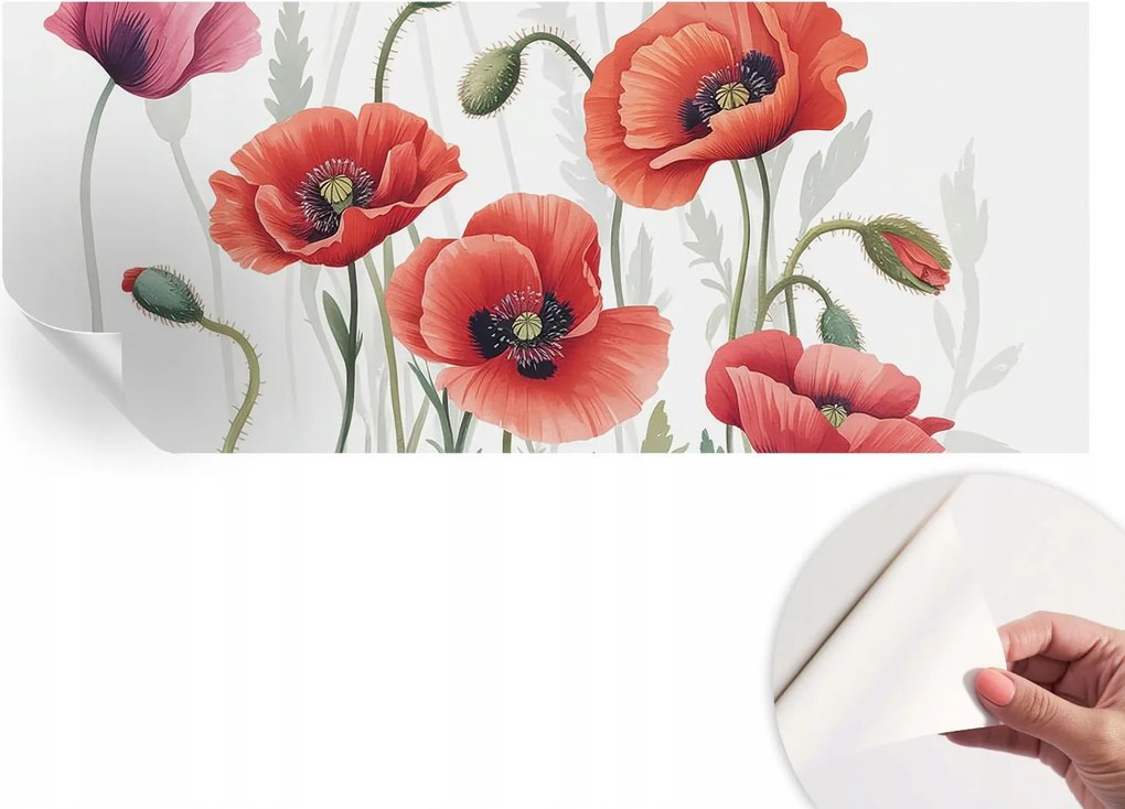 Modern öntapadós fali fotótapéta Piros pipacs 250x104 cm