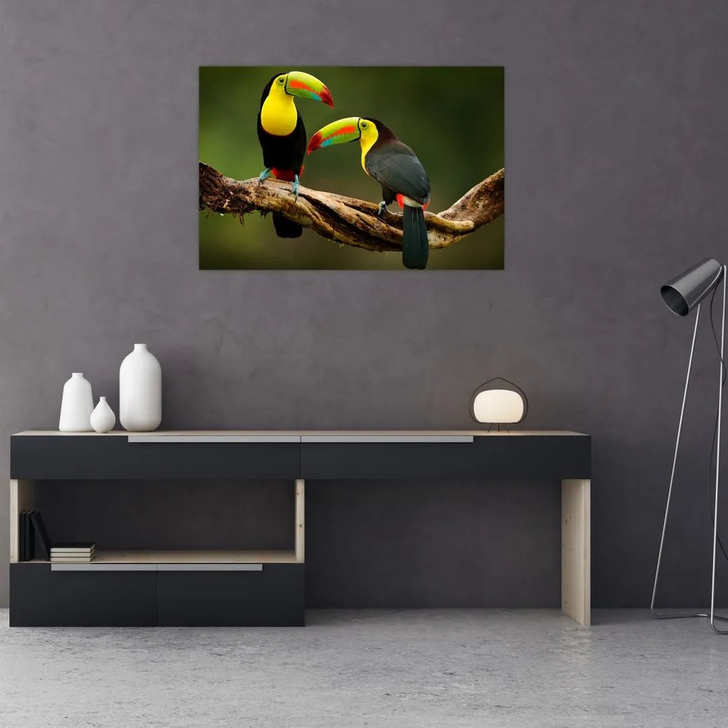 Ülő tukánok képe, Costa Rica (90x60 cm)