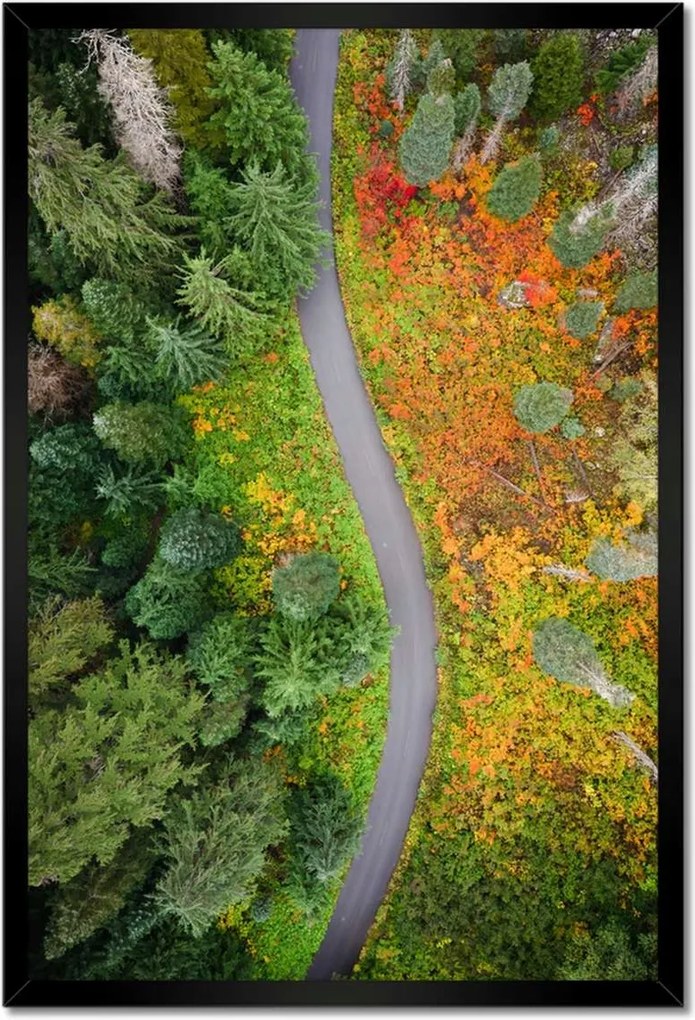 Poszterek keretben 40x60 Út Erdő Ősz