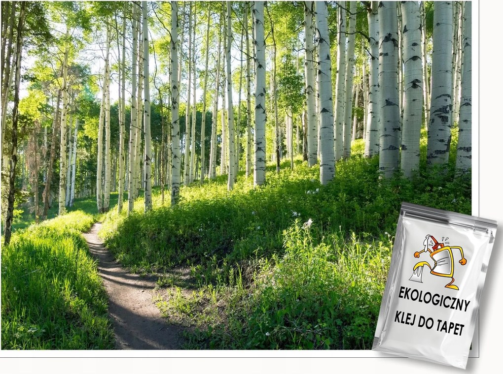 Fotótapéta Nyírfa Erdő Nappali Hálószoba Fali Tapéta 400x280