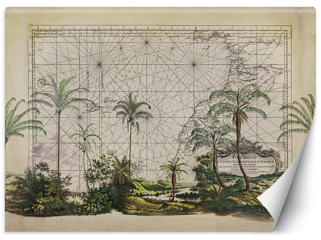 Gario Fotótapéta Afrika közeli kép - Andrea Haase Anyag: Vlies, Méret: 100 x 70 cm