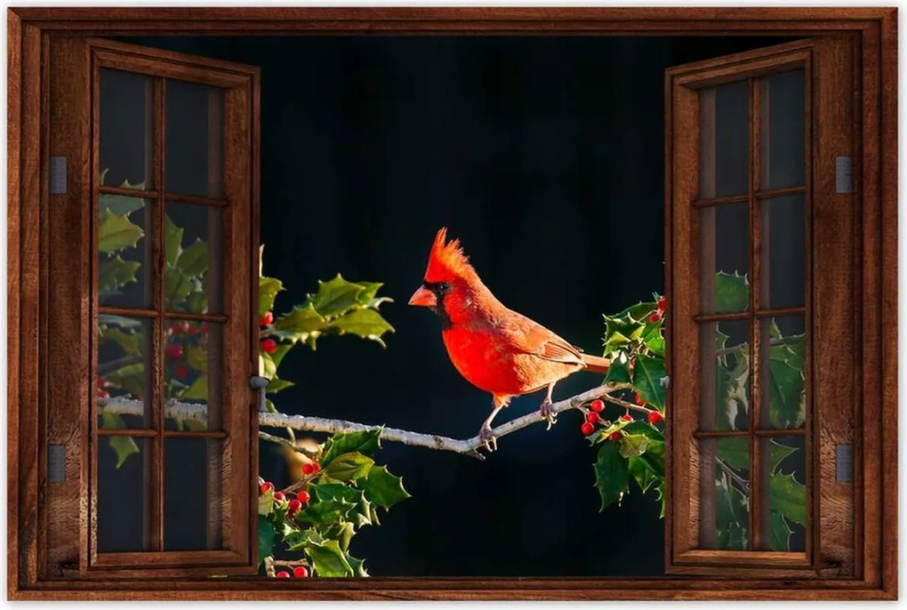 Poszterek 90x60 Madarak