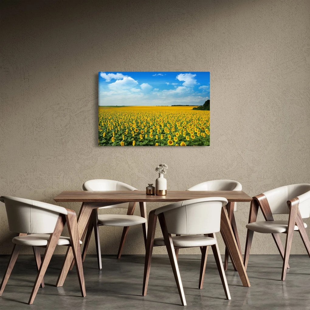Kép - napraforgó (90x60 cm)