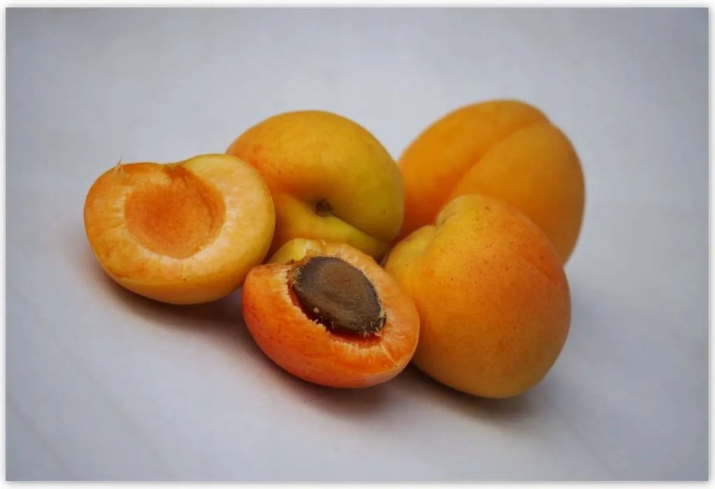 Poszterek 185x125 Sárgabarack Gyümölcsös élvezet