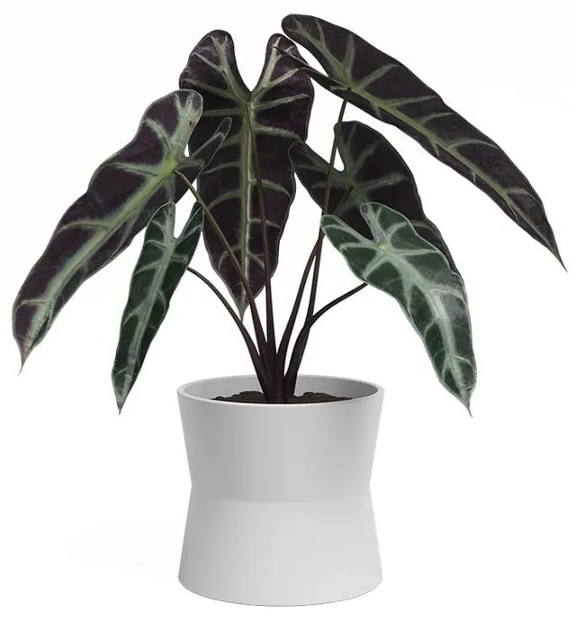 Kerámia virágcserép ø 14 cm Diana – Artevasi