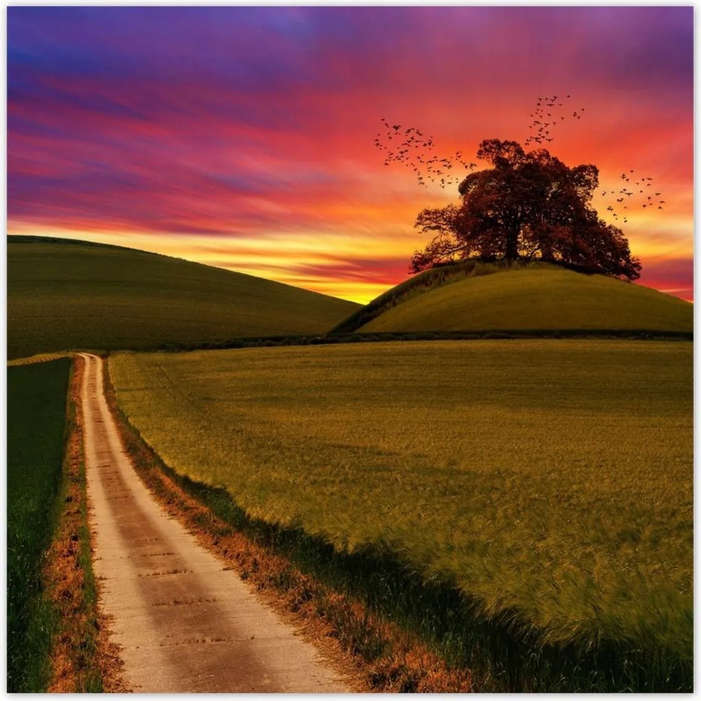 Poszterek 140x140 Naplemente Hegyek Fa