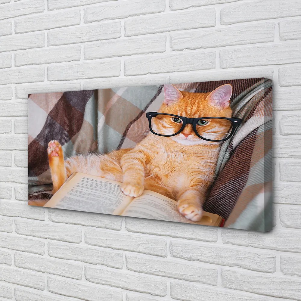 Canvas képek Az olvasó macska 120x60 cm