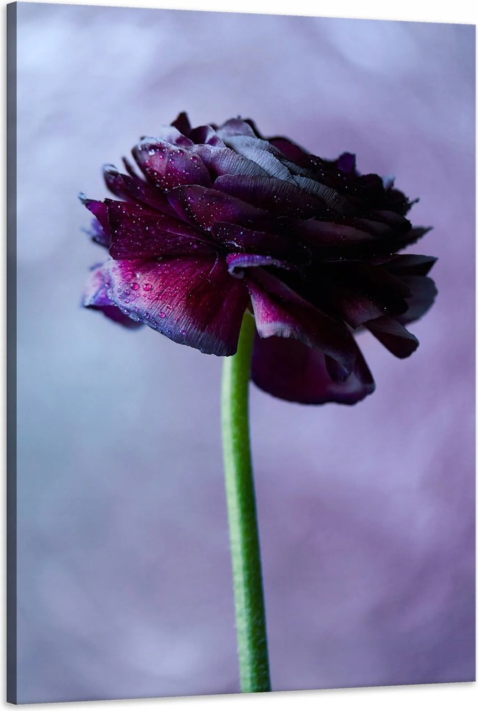 Botanika Vászonkép Lila virág 60x90 cm