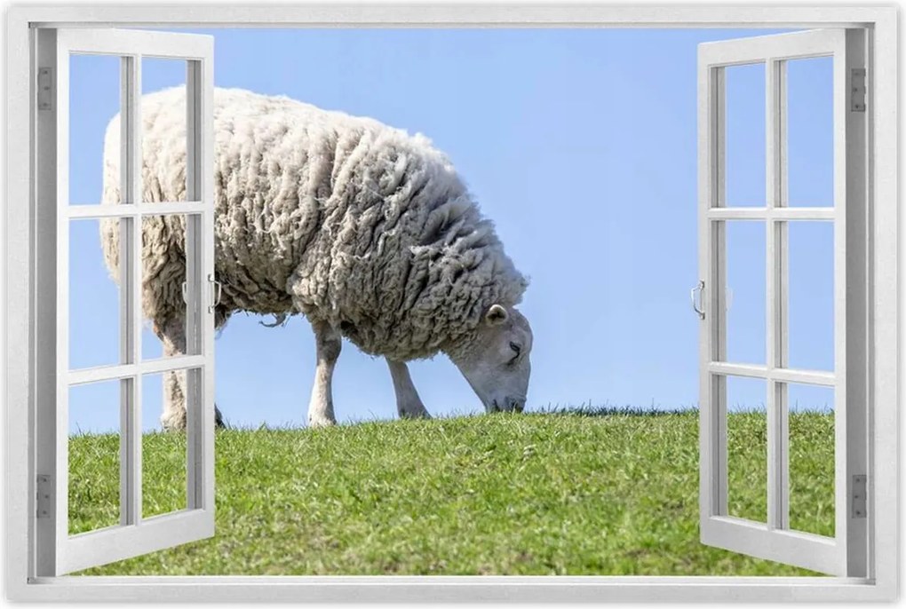 Plakátok 90x60 Hala legelő juh