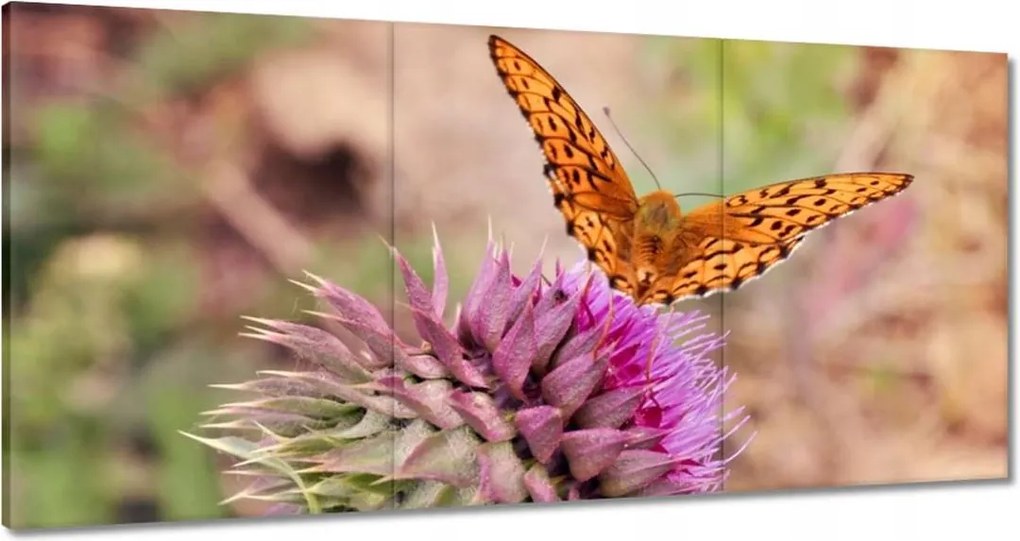 Festmények 120x60 Pillangó