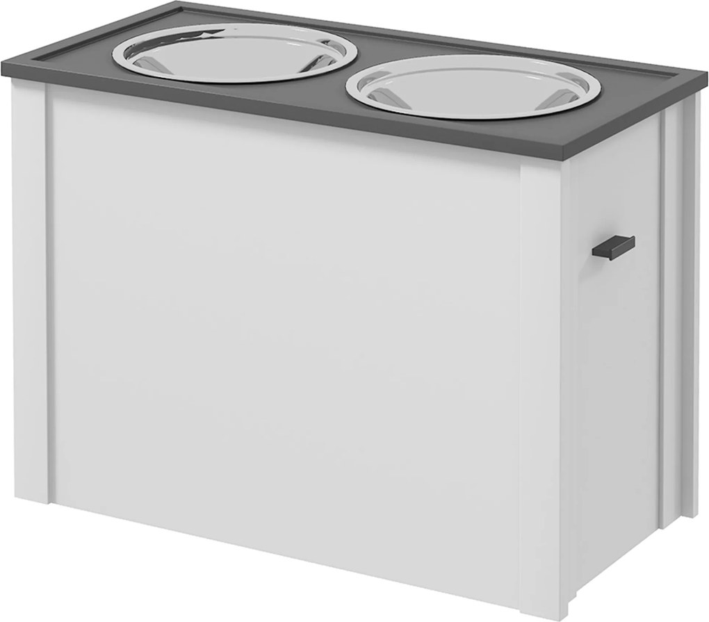 PawHut Kutya Tál, Kiskedvenc Etető Állomás Tárolóval, Víz Tál, Tál Állvány 2 db 2L Rozsdamentes Acél Tállal, Kutya Tál Állvány Nagy Kutyák Számára, Fe