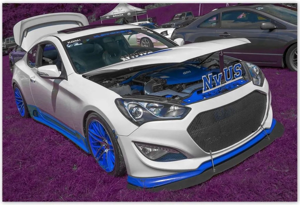 Poszterek 185x125 Fehér sportautó