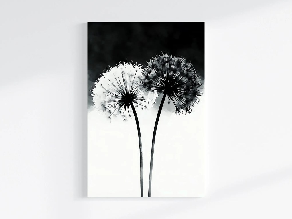 Vászonkép Canvas Grafika Modern Virágok Pitypang Fekete Fehér 80x120