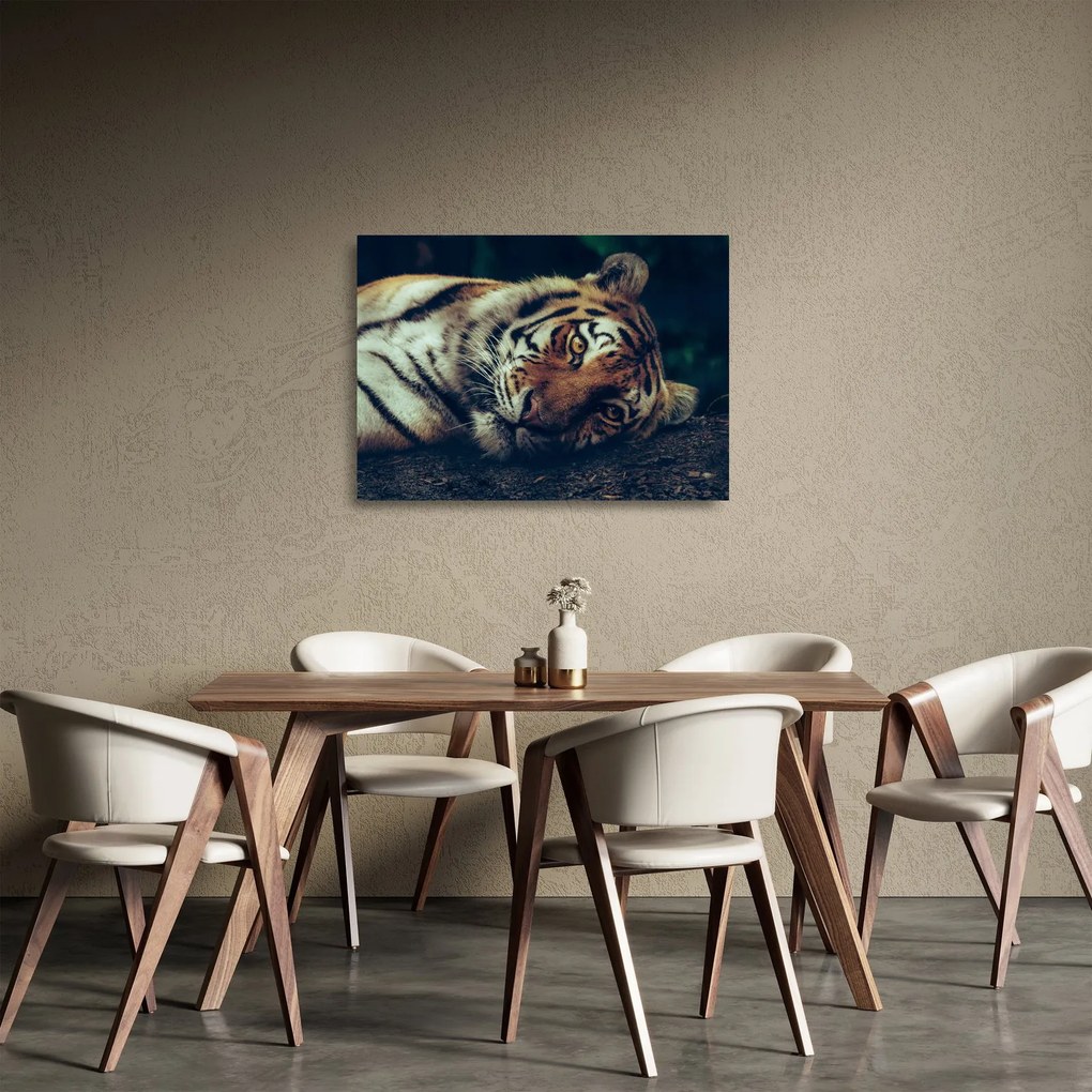 Kép - Szibériai tigris (üvegen) (70x50 cm)