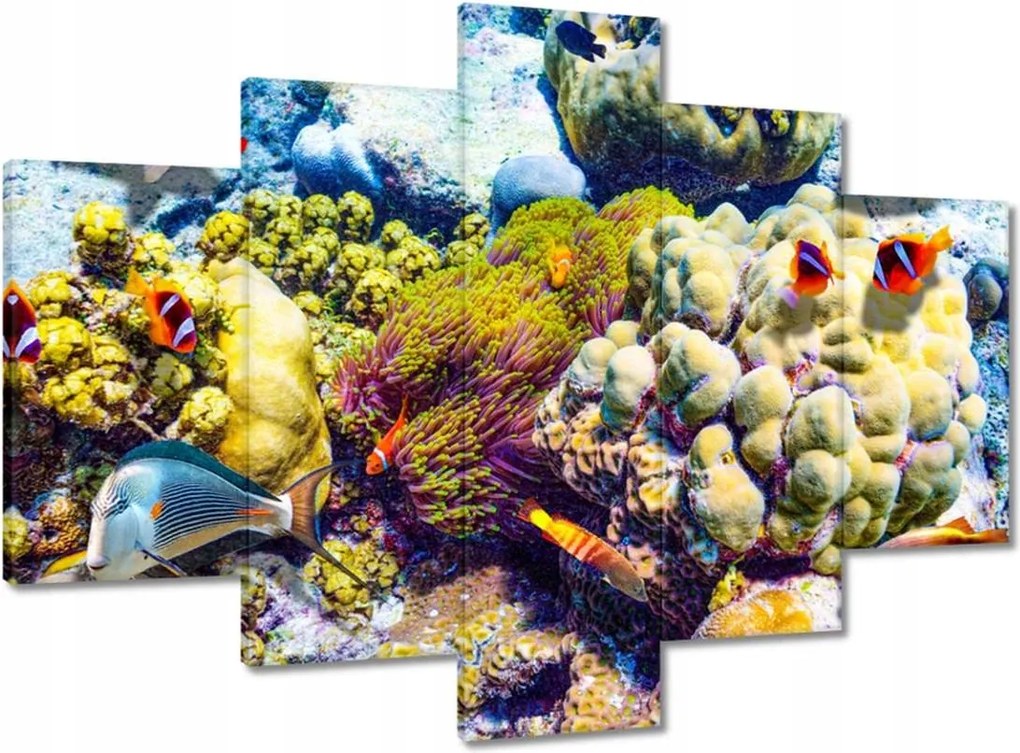 Képek 150x105 Csodálatos víz alatti világ