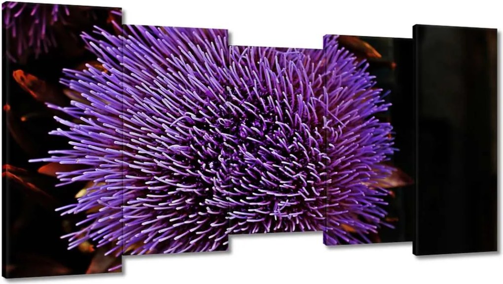 Vászonkép 150x80 Virág Lila Csipkebogyó