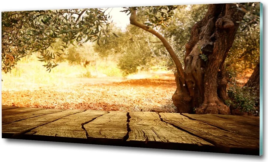 fotó-kép 100x50 plexi Olajfa