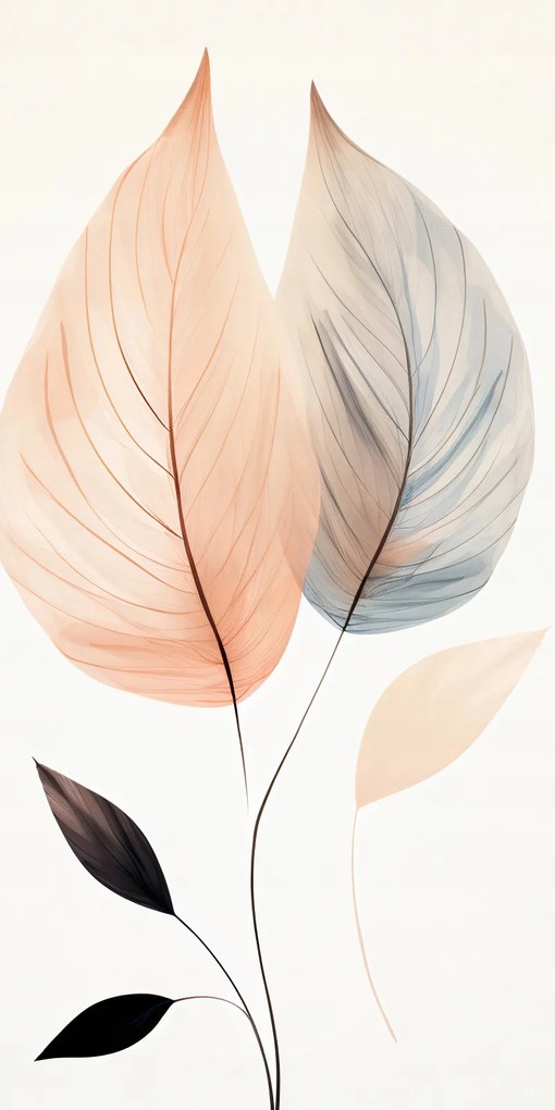 Poszter 50x100cm Leveles tánc