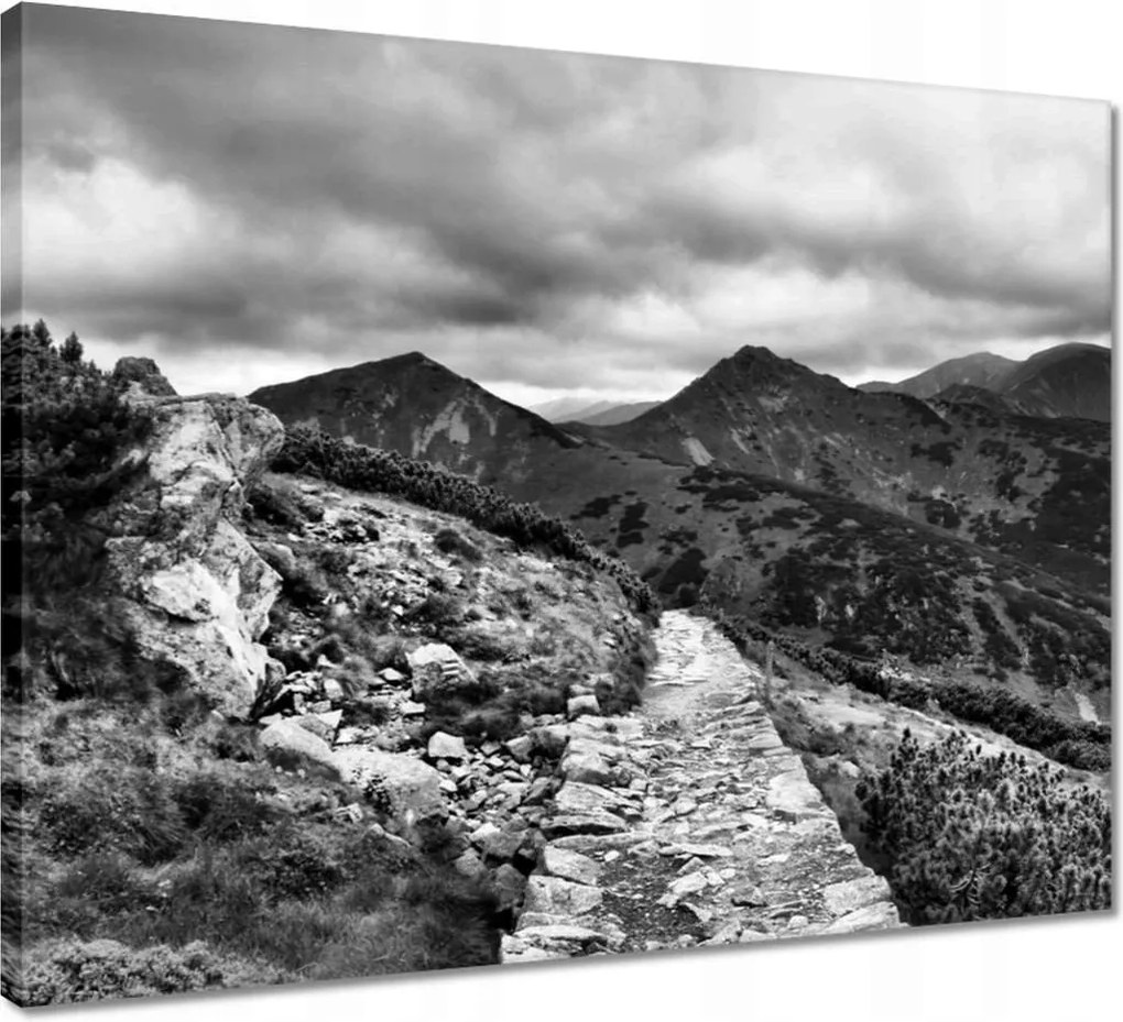 Vászonkép 50x40 Tátra Lengyel hegyek Kilátás