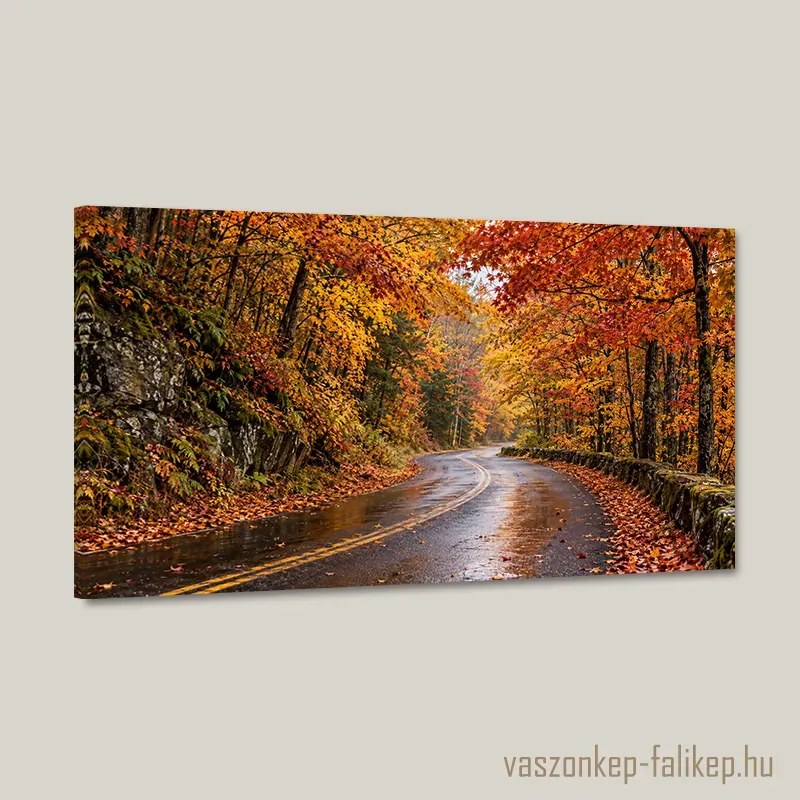 Aranyló Kanyar vászonkép – részletgazdag nyomat 40x23 cm