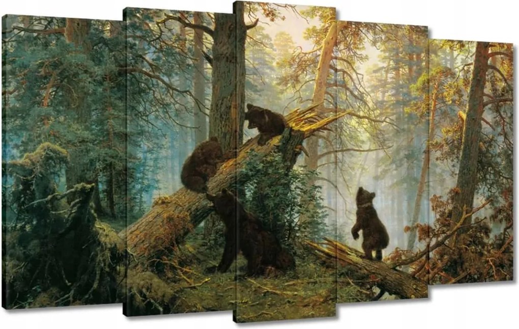 Vászonkép 100x60 Reggel a fenyőerdőben