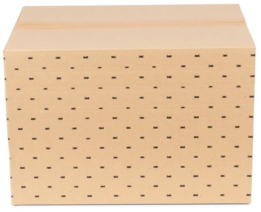 Teddy 2 db-os bézs tárolódoboz szett, 42 x 30 cm - Compactor