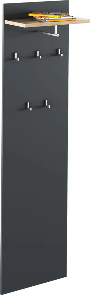 Fogas panel, grafit/tölgyfa artisan, RIOMA NEW TYP 19