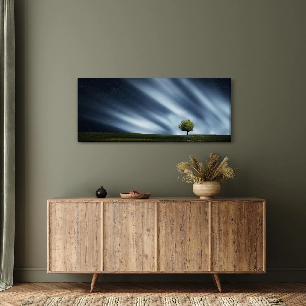 Az aurora borealis képe egy lápvidéken (120x50 cm)