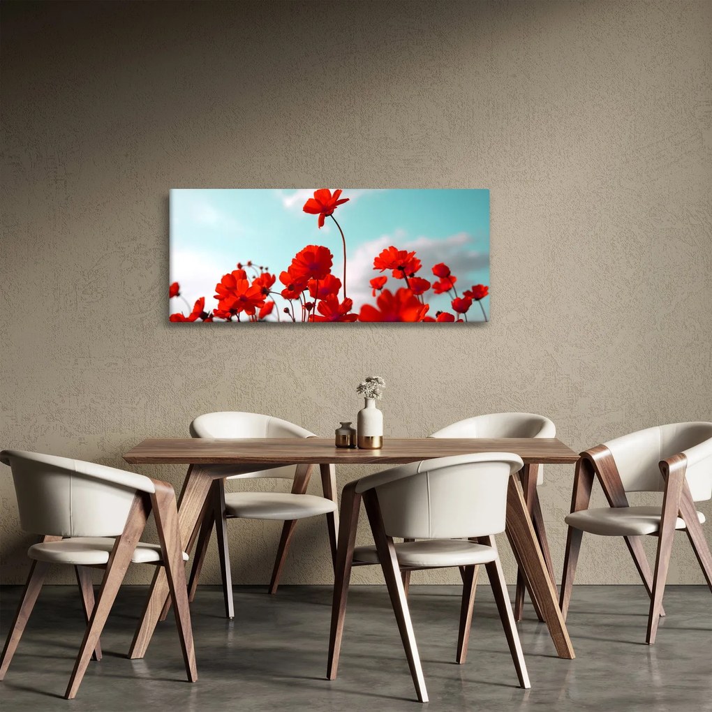 Fényes piros virágokkal rendelkező mező képe (120x50 cm)