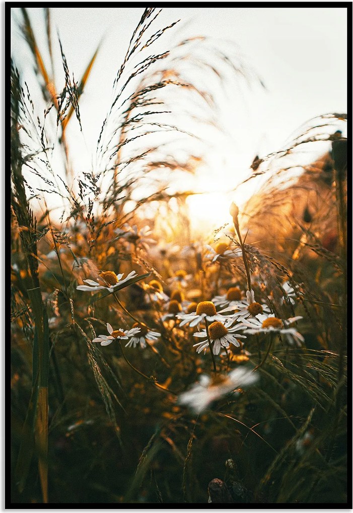 Poszter 30x40 fű rét fotó kép virágok