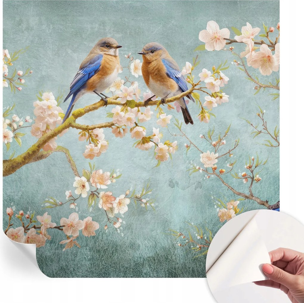 Dekoratív Öntapadós Tapéta Divatos Minták Tavaszi madarak 250x250 cm