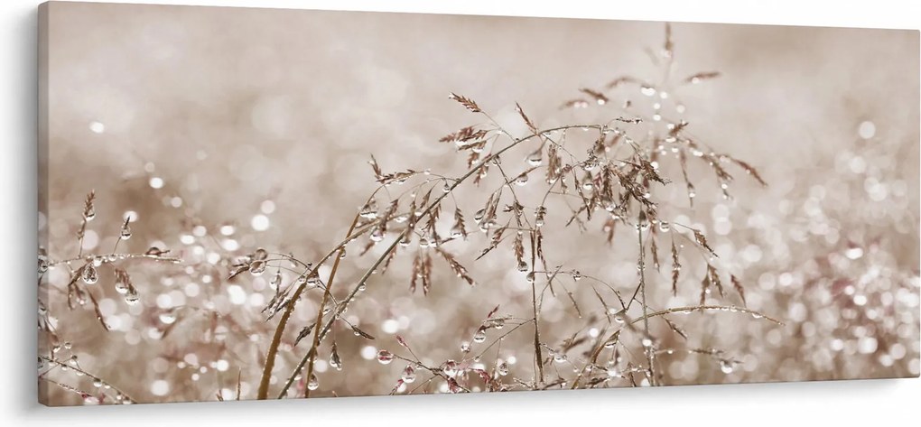 Kép - rét barna árnyalatokban (120x50 cm)