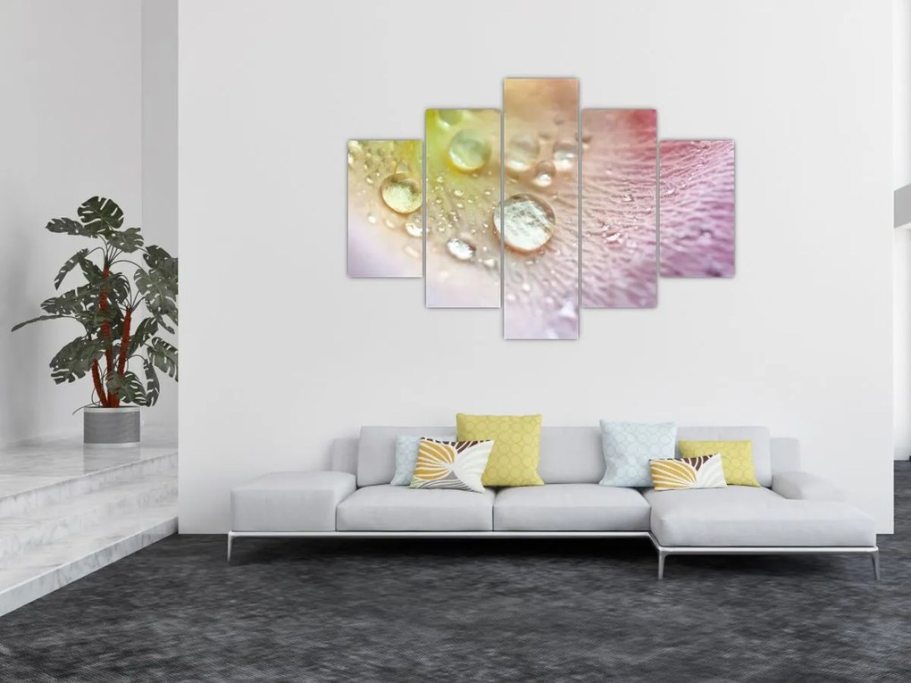 Kép - Harmatcseppek (150x105 cm)