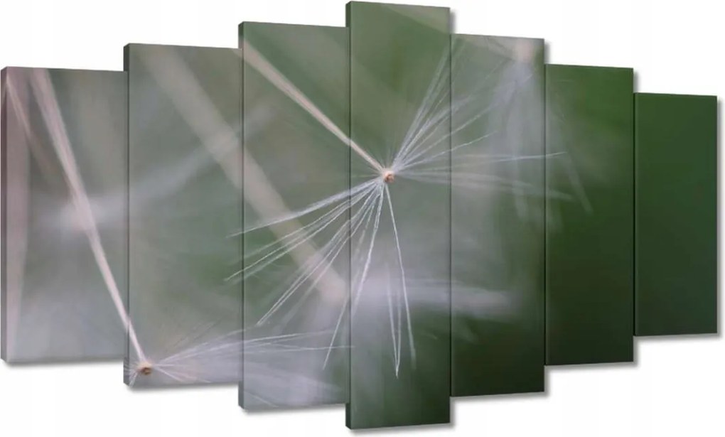 Vászonkép 140x80 Pitypang Virág Virágok