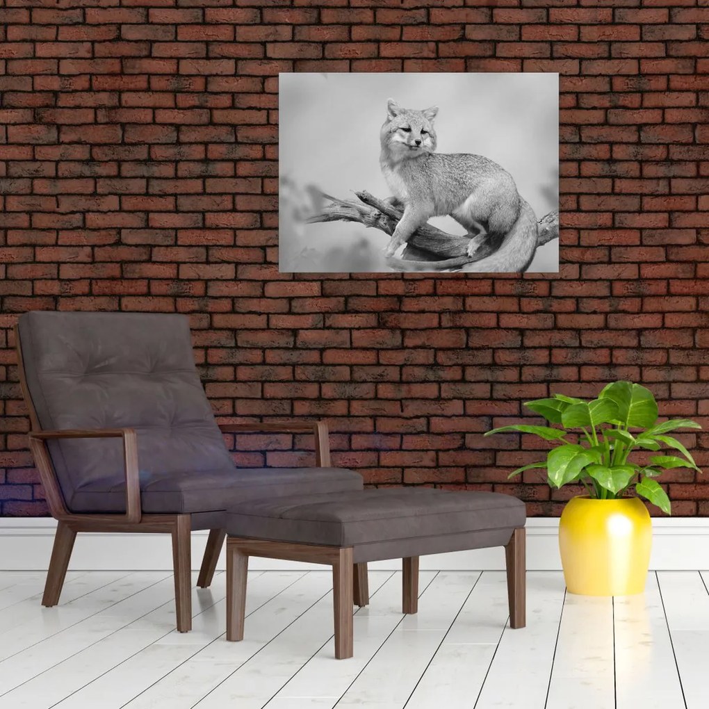 Kép - Szürke róka (70x50 cm)