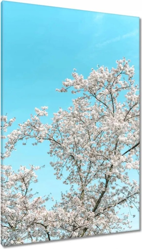 Vászonkép 80x120 Finom virágok Tavasz